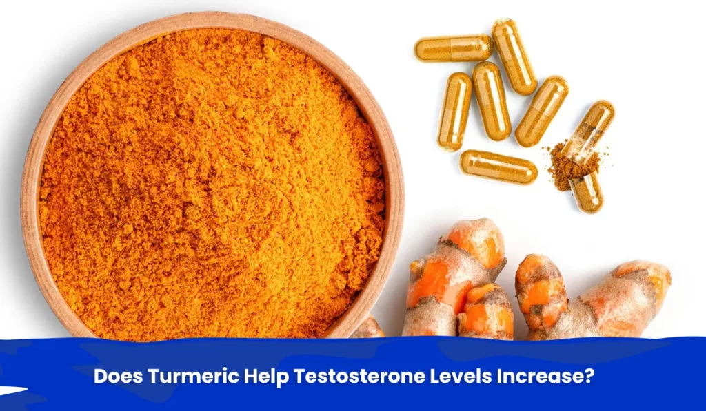 Turmeric for Fitness: Does Turmeric Help Testosterone Levels Increase?